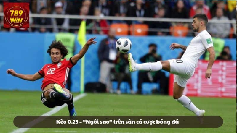 Kèo chấp 0.25 – “Ngôi sao” trên sàn cá cược bóng đá