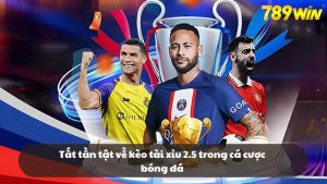 Tất tần tật về kèo tài xỉu 2.5 trong cá cược bóng đá