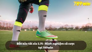 Bắt kèo tài xỉu 2.75 - Kinh nghiệm cá cược tại 789win